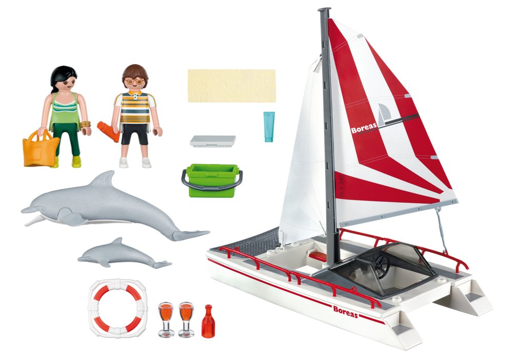 Catamaran with Dolphins – box_back