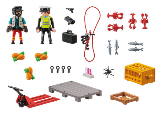 Customs Check – box_back
