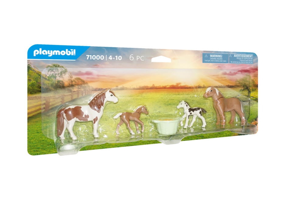 Icelandic Ponies with Foals – box_front