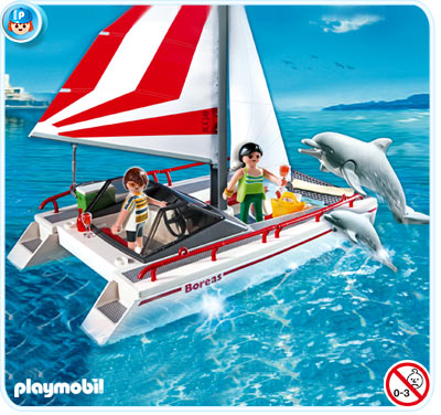 Catamaran with Dolphins