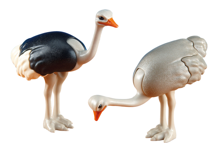 2 Ostriches