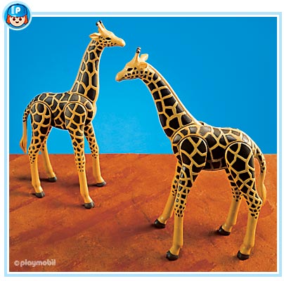2 Giraffes