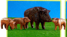 Wild Pig With 3 Young